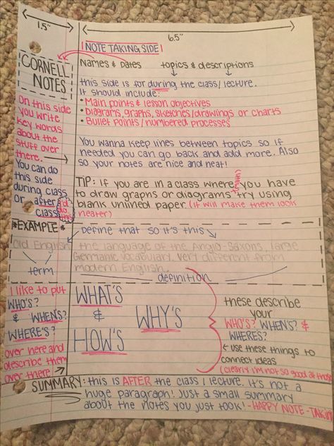 The best way to organize your Cornell notes!!                              … Best Way To Organize Notes, Ways To Set Up Notes, Cute Ways To Organize Your Notes, How To Organize Your Notes, Ways To Organize Notes, Ways To Organize Your Notes, How To Organize Notes, Index Card Notes, Notes To Write