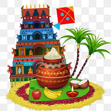 Pongal Festival Photography, Pongal Celebration Decoration, Pongal Pot Decoration, Pongal Poster, Pongal Festival Images, Pongal Greetings, Pongal Greeting Cards, Sankranthi Wishes, Coconut Clipart