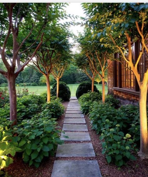 Landscaping Entryway, Driveway Entrance Landscaping, Walkway Landscaping, Privacy Trees, Side Yard Landscaping, Pathway Landscaping, Driveway Landscaping, Garden Entrance, Garden Walkway