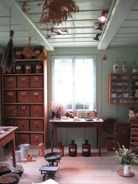 pharmacy, herbalist's house Herbal Shop, Herbal Store, Healing Room, Witch Cottage, Herbal Apothecary, Home Board, Workspace Inspiration, Colorado Homes, Indoor Garden Ideas