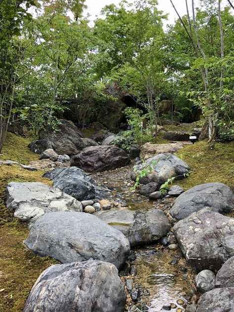 Rain Garden Design, Garden Stream, Japanese Rock Garden, Naturalistic Garden, Small Japanese Garden, Australian Native Garden, Pool Landscape Design, Japan Garden, Waterfalls Backyard