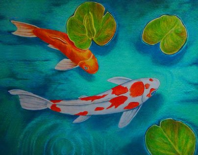 Koi Fish Colored Pencil, Coy Fish Tattoos, Pencil Colour Painting, Koi Fish Colors, Coy Fish, Koi Fish Drawing, Sea Drawing, Color Pencil Sketch, Aquatic Creatures