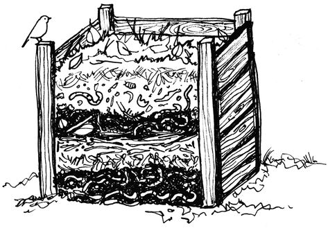 Garden Illustrator - Cold Frame Vegetables | Illustration Composting Illustration, Compost Drawing, Compost Illustration, Bin Drawing, Wix Web Design, How To Make Compost, Section Drawing, Vegetable Illustration, Concept Draw