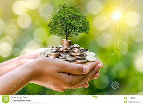 Hand Coin tree The tree grows on the pile. Saving money for the future. Investment Ideas and Business Growth. Green background with bokeh sun Value Stocks, Retirement Advice, Financial Growth, Abundance Mindset, Investing Money, Money Mindset, Financial Success, Make More Money, Money From Home