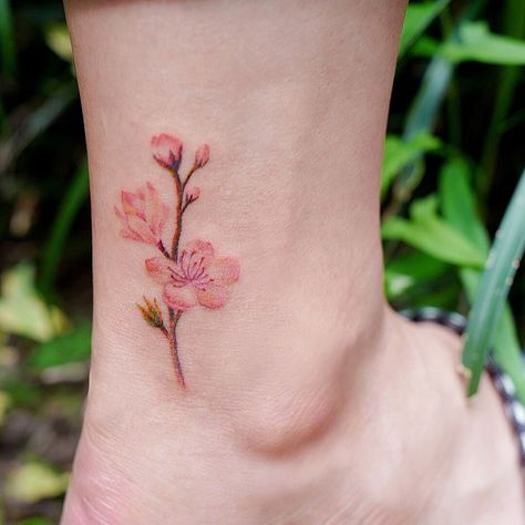 Birth Flower, Inner Beauty, Birth Flowers, Wrist Tattoos, Flower Tattoos, Maple Leaf Tattoo, Colorful Flowers, Flower Tattoo, Apricot