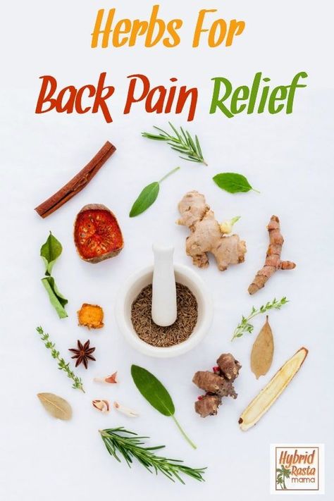 Got back pain? Looking for natural ways to get rid of back pain or reduce back pain? Let's look at herbs for back pain relief and how to safely use them. We'll talk back pain prevention too. #backpain #herbs #backpainrelief From HybridRastaMama.com  via @hybridrastamama Nature Ideas, Colon Health, Home Remedy For Cough, Cough Remedies, Colon Cleanse, Back Pain Relief, Sensory Activities, Natural Medicine, Baby Cold