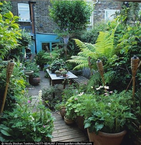 7 Ideas to Give a Spin to Your Small Garden and Turn it into Paradise - L' Essenziale Small Yards, Small Courtyard Gardens, Jungle Gardens, نباتات منزلية, Front Yards, Home Garden Design, Have Inspiration, The Secret Garden, Garden Oasis