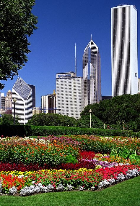 Chicago - Grant Park Flowers & City Skyline Grant Park Chicago, Chicago Baby, Photo Gear, Grant Park, Chicago Travel, Chicago Photography, My Kind Of Town, Chicago Skyline, City Park