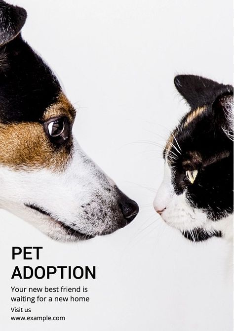 Pet adoption poster template, editable text and design | premium image by rawpixel.com / Aom W. Pet Adoption Poster, Cat Adoption Poster, Pet Poster Design, Dog Poster Design, Adoption Poster, Cat Png, Dog Poster, Awesome Designs, Aesthetic Things