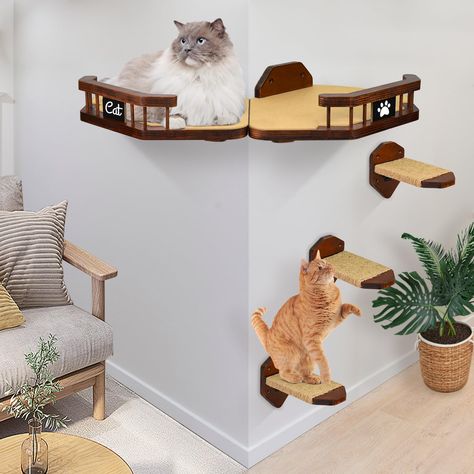 Cat Wall Shelf Ideas, Apartment Cat Ideas, Largest Domestic Cat, Cat Climbing Tower, Large Domestic Cat Breeds, Cat Gym, Cat Bedroom, Domestic Cat Breeds, Cat Wall Shelves