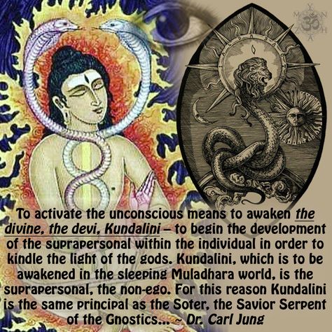 To activate the unconscious means to awaken the divine, the devi, Kundalini – to begin the development of the suprapersonal within the individual in order to kindle the light of the gods. Kundalini, which is to be awakened in the sleeping Muladhara world, is the suprapersonal, the non-ego. For this reason Kundalini is the same principal as the Soter, the Savior Serpent of the Gnostics… ~ Dr. Carl Jung  http://www.instagram.com/mynzah/ http://www.pinterest.com/mynzah/ http://www.reddit.com/user/M Kundalini Awakening, Cosmic Consciousness, Spirit Science, Spiritual Healer, Ancient Knowledge, Chakra Meditation, Carl Jung, Spiritual Wisdom, Arte Fantasy