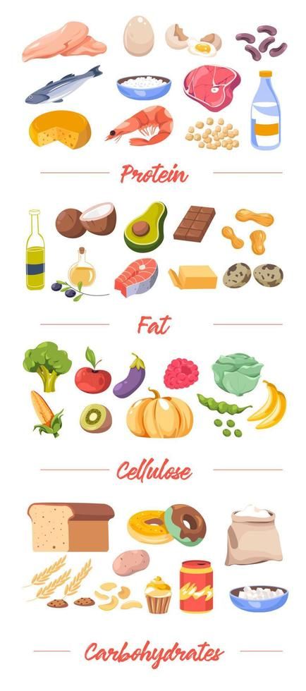 Food by type, proteins and fat, cellulose vector Carbohydrates Food Pictures, 7 Food Groups, Cartoon Template, Vector Brush, Food Shapes, Carbohydrates Food, Food Cartoon, Protein Rich Foods, Fiber Rich Foods