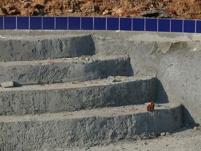 Problems With Gunite Pools READ THIS Gunite Pool Ideas, Farm Pool, Gunite Pools, Swimming Pool Repair, Pool Makeover, Pool Resurfacing, Swimming Pool Service, Pool Plaster, Pool Repair