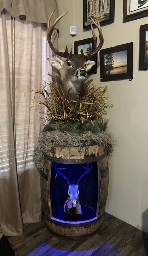 Deer Mount Ideas Taxidermy, Deer Mount Wall Arrangement Living Room, Deer Taxidermy Mounts, Deer Mounts In Living Room, Deer Horns Decor, Deer Horn Ideas, Skull Mount Ideas, Bobcat Mounts, Deer Mount Ideas