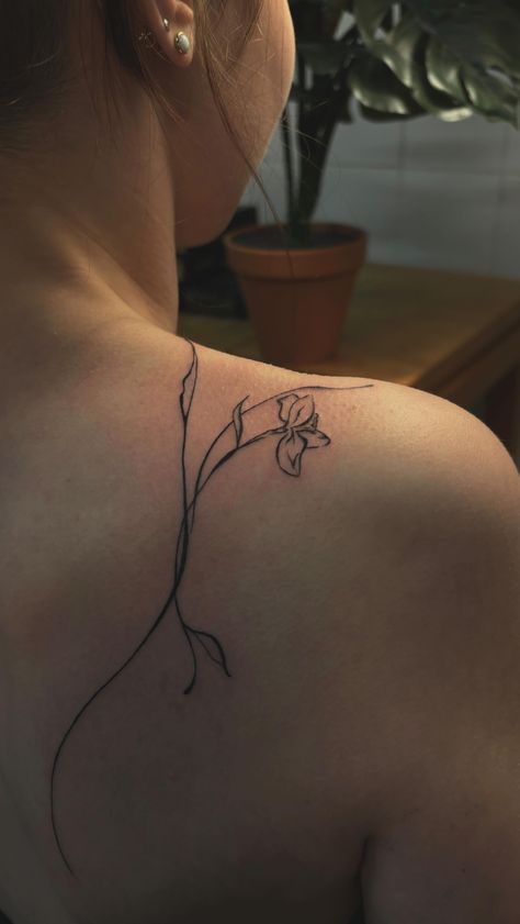 Naomi ❊ | botanical flow for @kaira.wlf 🌿💌 #tattoo #tattooideas #tattoomunich #tattoomünchen #tattooartist #finelinetattoos #blackandgreytattoos… | Instagram Shoulder Branch Tattoo, Lilly Line Drawing, Negative Space Tattoo Flower, Fine Line Magnolia Tattoo, Line Art Back Tattoo, Botanical Flow Tattoo, Flows Tattoo, Simple Violet Flower Tattoo, Flowy Tattoo Design