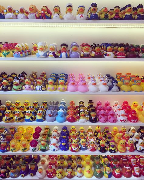 Amsterdam Duck Store, Rubber Duck Collection, Duck Things, Duck Collection, Duck Crafts, Duck Pictures, Duck Wallpaper, Duck Photo, Baby Shower Duck