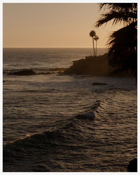 lance gerber | Sunset walks around Laguna Beach . . . . #lagunabeach #beach #ocean #pacific #sunset #waves #palms #landscape #landscapephotography… | Instagram Top Of The World Laguna Beach, Sunset Waves, Top Of The World, Laguna Beach, Travel Diary, Places Around The World, Land Scape, Around The Worlds, The World