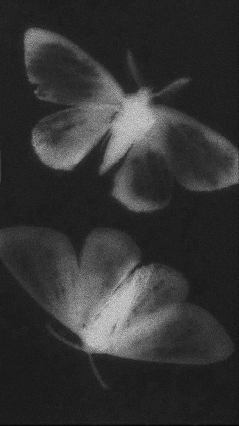 Black Butterflies Aesthetic, Iphone Wallpaper Music, Harry Potter Background, Iphone Dynamic Wallpaper, Normal Wallpaper, Gothic Wallpaper, Black Phone Wallpaper, Abstract Iphone Wallpaper, Edgy Wallpaper