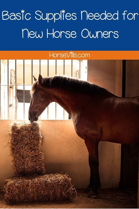 Horse Supplies Checklist, Taking Care Of Horses For Beginners, How To Care For A Horse, Owning A Horse For The First Time, How To Take Care Of A Horse, Horse Needs, Taking Care Of Horses, Senior Horse Care, Buying A Horse