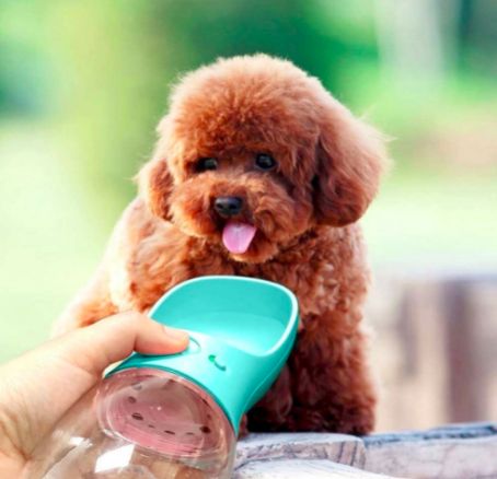 The 5 Best Water Bottles for Dogs – Perfect for Hiking & Traveling Dog Walking Accessories, Dog Water Dispenser, Pet Water Bottle, Travel Water Bottle, Dog Water Bottle, Portable Water Bottle, Cat Travel, Dog Travel, Water Bowl