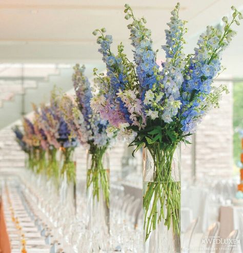 {Tall Centerpieces Of Spring Time Colors Of Gladiolus In Tall Glass Cylinder Vases···································} Blue Delphinium, Tall Centerpieces, Blue Wedding Flowers, Vase Arrangements, Salou, Long Table, Deco Floral, Wedding Flower Arrangements, Tall Vases