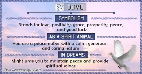 Dove Meaning and Symbolism | The Astrology Web Doves Meaning, Dove Meaning, Goose Spirit Animal Meaning, Dove Symbolism Meaning, Morning Dove Meaning, Bird Symbolism Meaning, Morning Dove Spiritual Meaning, Dove Spiritual Meaning, Birds Spiritual Meaning