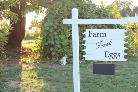 Farm Fresh Eggs Sign, Fresh Eggs Sign, Selling Eggs, Chicken Boxes, Chicken Coop Decor, Egg Packaging, Eggs For Sale, Backyard Chicken Coop Plans, Backyard Chicken Farming