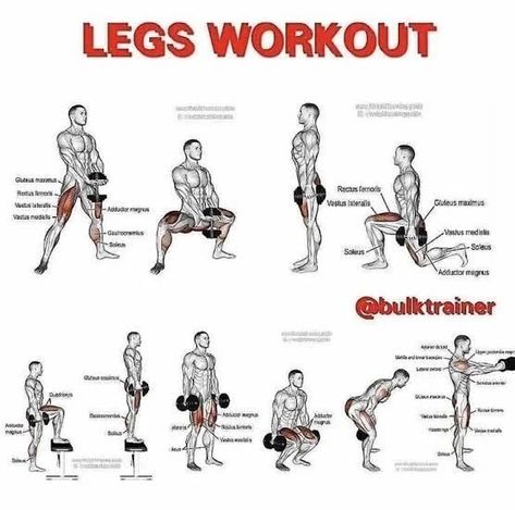 Leg Work Out For Men, Leg Dumbell Workout For Men, Dumbell Legs Workout, Leg Day Workout With Dumbbells, Leg Days At The Gym, Shredded Legs Workout, Leg Exercises At Home Men, Legs Workout At Gym, Bulk Legs Workout