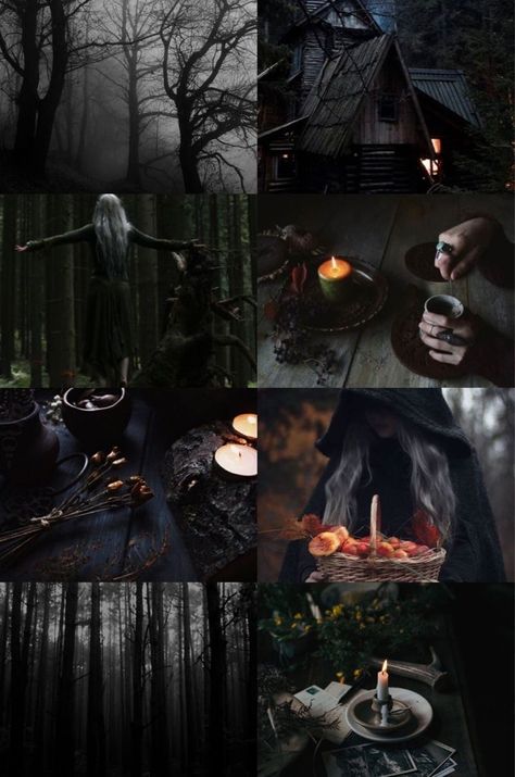 Dark Witch Aesthetic Wallpaper, Witch Aesthetic Wallpaper, Dark Witch Aesthetic, Forest Witch Aesthetic, Witchy Academia, Witch Fairy, Witch Wallpaper, Forest Dark, Dark Fairytale