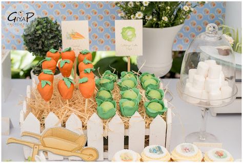 Garden Dessert Ideas, Peter Rabbit Cake Pops, Birthday Table Food, Carrot Cake Pops, Peter Rabbit Theme Party, Peter Rabbit Cake, Cabbage Carrot, Bunny Birthday Party, Peter Rabbit Birthday