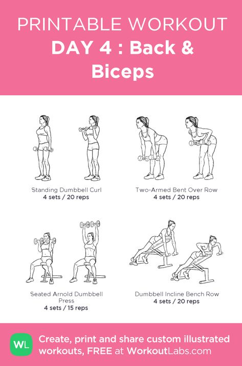 Back And Bicep Workout Dumbell Women, Back And Bicep Workout At Home, Bis Workout, Arms And Back Workout, Bicep Workout Women, Bicep Workout Gym, Back And Biceps Workout, Planning Sport, Workout Female