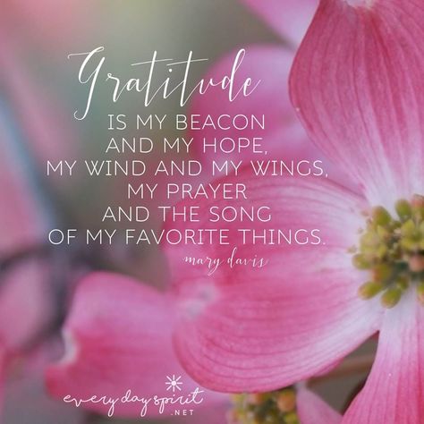 Hello Spring Quotes, Springtime Quotes, Spring Blessings, Background Pics, Spring Quotes, Daily Blessings, My Prayer, Nature Spring, Easter Religious