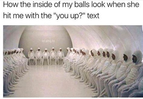 Inappropriately Funny, Humour Sale, Funny Text Memes, Funny Christmas Pictures, Inappropriate Memes, Dirty Memes, Humor Inappropriate, Memes Of The Day, Text Memes