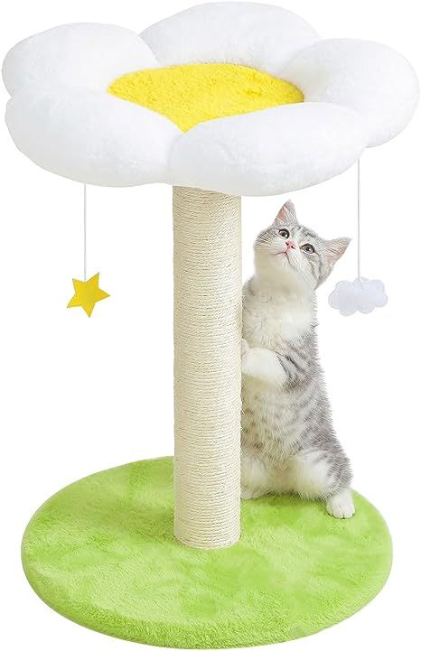 Small Cat Tower, Flower Cat Tree, Cat Toy Mouse, Kitten Beds, Cat Wall Furniture, Flower Cat, Kitten Toys, Indoor Cats, Cat Scratching Post