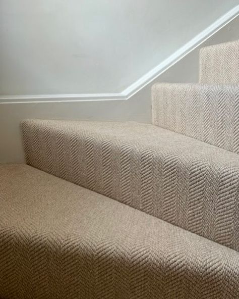 Enhance your staircase with the refined comfort of our Cumbrian Weave carpet. Crafted from 100% undyed wool, this flatweave herringbone design brings natural texture and elegance to any staircase, blending durability with sophistication. Perfect for creating that cozy, inviting feel to your safe haven 🪴 Explore our full color range on https://flooringbynature.co.uk/shop/carpet/cumbrian-weave-wool-carpet/ #flooringideas #flooringbynature #cumbrianweave #undyedwool #homeinteriors #woolcarpet ... Herringbone Carpet, Weave Carpet, Wall To Wall Carpet, Project 2025, Stripe Wall, Woven Carpet, Herringbone Design, Wall Carpet, Safe Haven