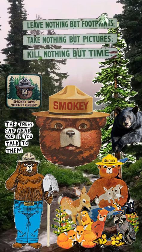 Smokey the bear Nanny Job Description, Entitled Parents, Smokey The Bear, Smokey Bear, Smokey The Bears, Bear Birthday, National Parks Trip, Tree Hugger, Bear Wallpaper