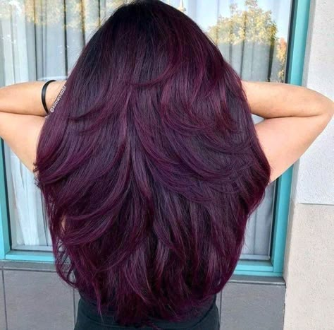 Maroon Hair Color, Pelo Color Borgoña, Hair Color Ideas For Brunettes Short, Caramel Hair Highlights, Pelo Color Vino, Maroon Hair, Dark Purple Hair, Hair Color Unique, Hair Color Burgundy