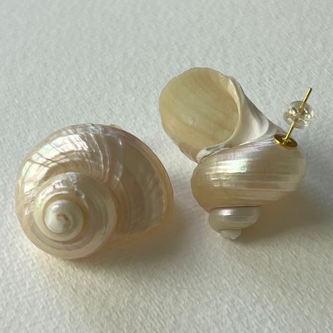 With the one-of-a-kind La Mer earrings, crafted from turbo shells, these earrings have a natural pearly and iridescent shine, giving off a goddess-like aura. The post needle design makes them light weight and easy to wear. Be ready to turn heads and channel your inner Venus. Shells Aesthetics, Shell Aesthetic, Shell Accessories, 2024 Wardrobe, Beaded Shell, Wedding Event Dresses, Ball Ideas, Tooth Gem, Shop Projects