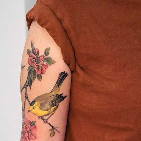 Brianna Chickenfry Tattoo, Tawny Frogmouth Tattoo, Carolina Wren Tattoo, Finch And Flower Tattoo, Blackburnian Warbler, Yellow Bird, Birds Tattoo, Tattoo Artists, Tattoos