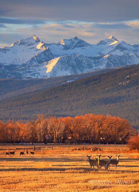 Montana Landscape, Montana Mountains, Big Sky Montana, Into The West, Big Sky Country, Autumn Scenery, National Parks Trip, Mountain Scene, Glacier National