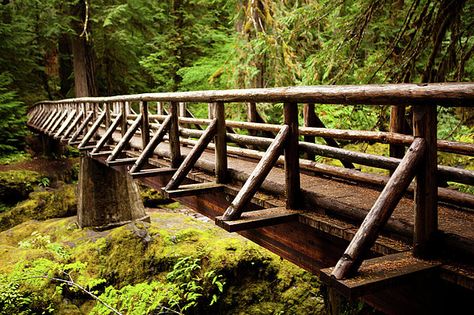 Forest Lounge, Timber Frame Pavilion, Outdoor Bathroom Design, Forest Wood, Wooden Bridge, Mt Hood, Outdoor Diy Projects, Outdoor Bathrooms, Forest Landscape