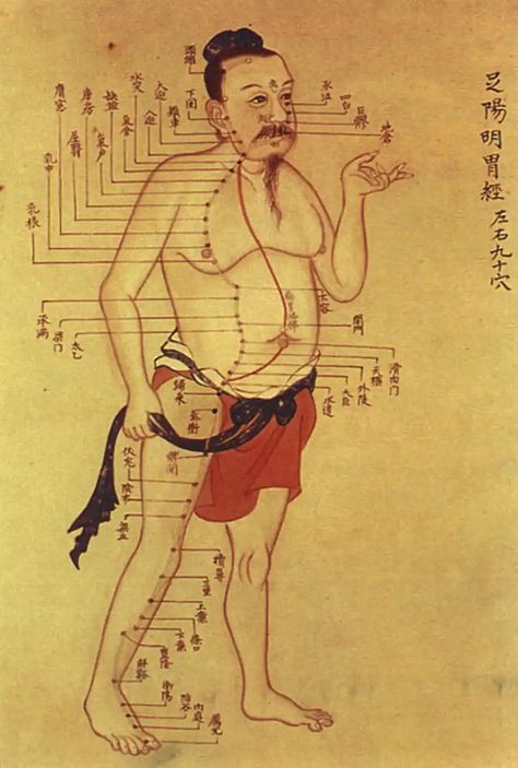 This ancient Chinese anatomical atlas changes what we know about acupuncture and medical history Medicine Drawing, Acupuncture Charts, Yin En Yang, Medical Drawings, Acupuncture Benefits, Usui Reiki, Point Acupuncture, Eastern Medicine, Tai Chi Chuan