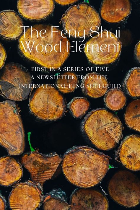 Vitality and health is important for everyone and using the wood element in balance can help. Click to read our May 2022 newsletter to learn how to use the Feng Shui Wood element in your spaces. We talked about plants in last month's newsletter and much of that advice and knowledge works here too for the Wood element. But there are also so many more ways to bring Wood into your home, office or any other space. #fengshui #ifsguild #intlfengshuiguild Feng Shui Wood Element Decor, Wood Element Feng Shui, Feng Shui Wood Element, Feng Shui Basics, Feng Shui Elements, Feng Shui Living Room, Feng Shui Tips, Small Apartment Interior, Fifth Element