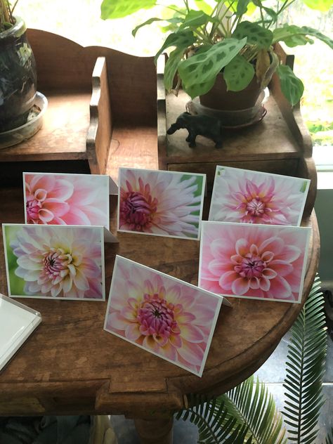 Photo Note Cards, Pink Dahlia, Rose Pictures, Cards With Envelopes, Small Pictures, Personalized Stationery, Post Cards, Photo Card, Stationery Set