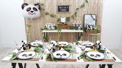 Panda Themed Party, Letterboard Signs, Panda Pop, Bamboo Background, Lucky Bamboo Plants, Cute Marshmallows, Bamboo Stalks, Lucky Bamboo, Bamboo Forest