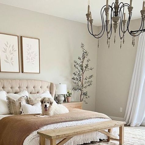 Ideal farmhouse on Instagram: "What do you love the most about this beautiful bedroom?🤍✨ Follow us for more daily farmhouse inspiration!🥰 📷 credit: @ourwintonhome #farmhousedecor #farmhouse #countryliving #farmhouseliving #joannagaines #farmhousehome #modernfarmhousestyle #farmhouselife #rusticfarmhouse #countrylivingmagazine #betterhomesandgardens #farmhouseinspo #farmhousestyledecor #cottagesandbungalows #americanfarmhousestyle #magnoliamarket #southernliving #kitchendesign #mybhghome #bhg #southernlivingmag #farmhousechic #farmhousedesign #hgtv" Neutral Bedroom Ideas With Pop Of Color, American Farmhouse Style, Neutral Bedrooms, Cottages And Bungalows, Farmhouse Inspiration, Bedroom Photos, Neutral Bedroom, Wood Tones, Farmhouse Interior