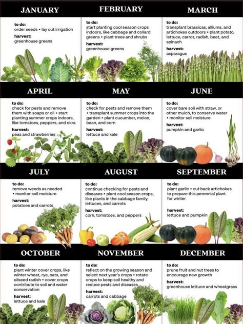 Vegetable Planting Calendar, United States Botanic Garden, Gardening Calendar, Design On A Budget, Planting Calendar, Small Vegetable Gardens, Vegetable Garden Planning, Backyard Designs, Vegetable Garden Diy