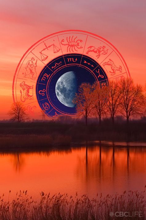 collage of a sunset with bare trees in fall. an illustrated wheel of zodiac signs sits behind the trees. a starry night sky with a third quarter moon sits in the middle of the wheel. Venus In Scorpio, Scorpio Horoscope, Scorpio Season, Sign Image, Weekly Horoscope, Your Horoscope, Astrology, Sun, Signs