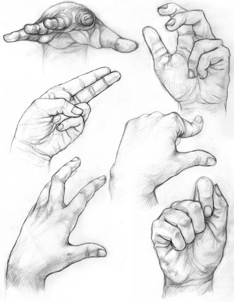 Drawing Hands, Hand Gestures, Hand Drawing Reference, Anatomy Sketches, Art Sketches Pencil, Anatomy Drawing, Hand Sketch, Drawing Lessons, Anatomy Art