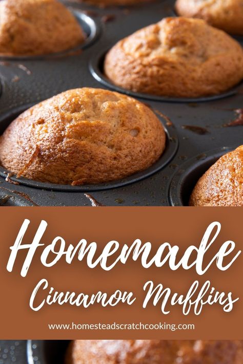 Low-Sugar Cinnamon Muffins Cinnamon Oat Muffins Healthy, Muffin Recipes For Diabetics, Low Carb Muffins Easy, Muffins For Diabetics Easy Recipes, Low Sugar Muffins For Kids, Healthier Muffin Recipes, Almond Flour Cinnamon Muffins, Sugar Free Muffins For Diabetics, No Sugar Muffins Healthy